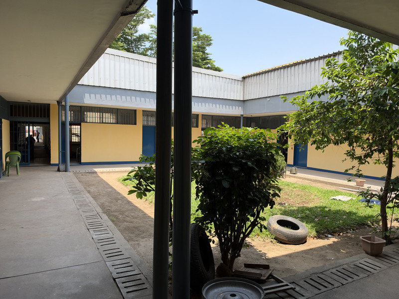 Jardin de la cour